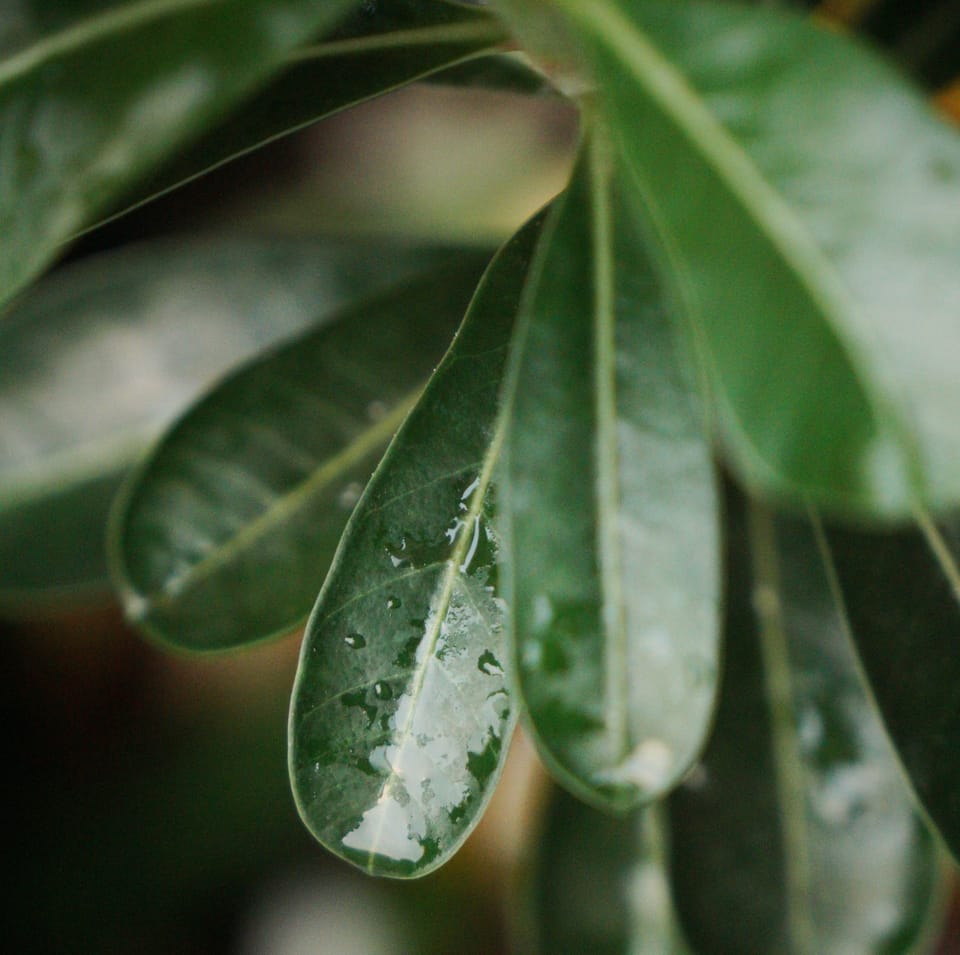 Lesson: The Difference Between Silence and Stillness